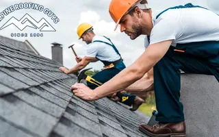 Alpine Roofing Guys