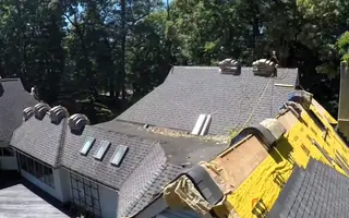 Shingle Guard Roofs